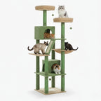 Arbre à chat - Pistache