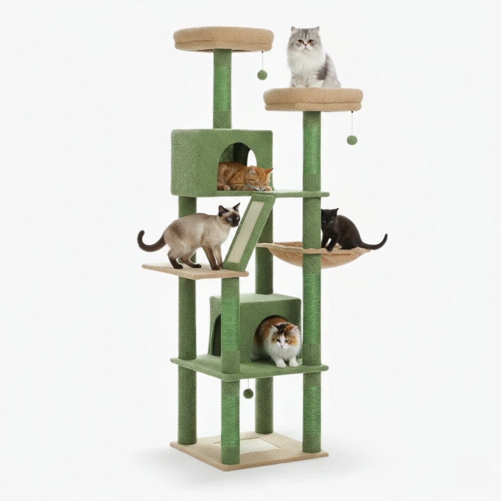 Arbre à chat - Pistache