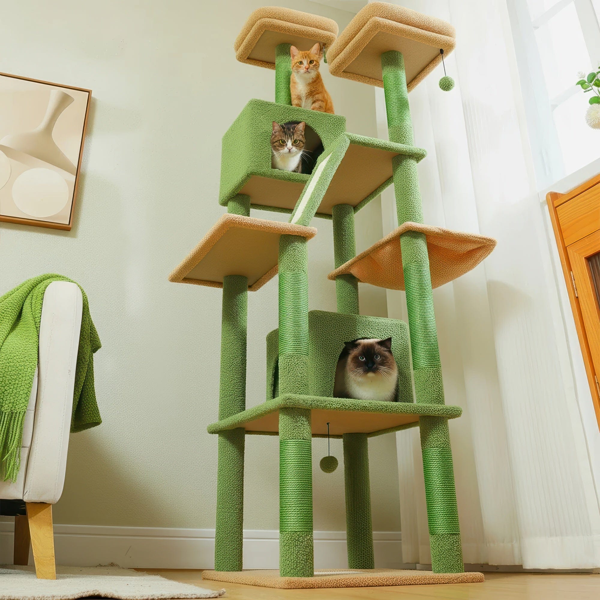 Arbre à chat - Pistache