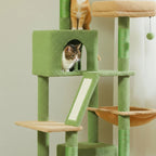 Arbre à chat - Pistache