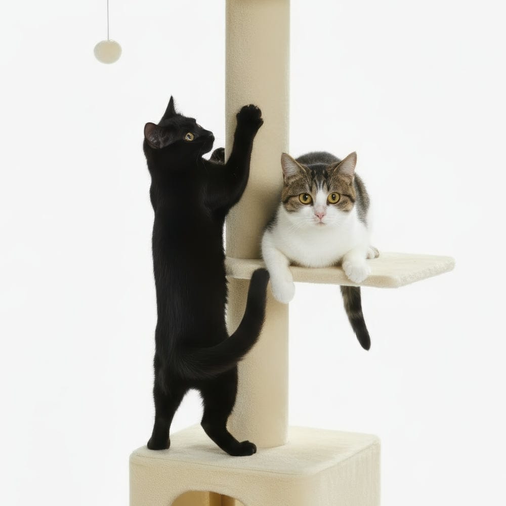 Arbre à chat plafond beige