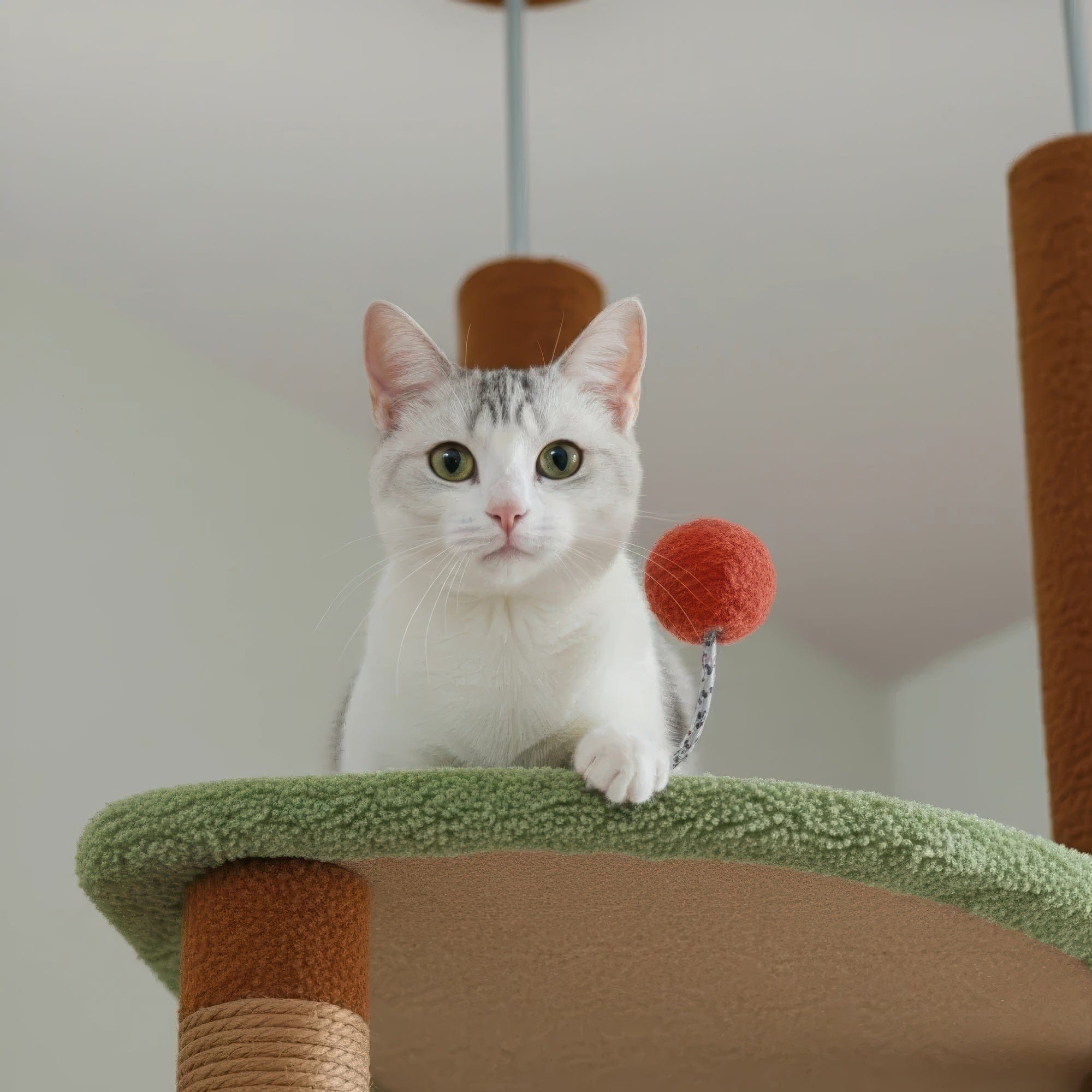 Arbre à chat plafond brun