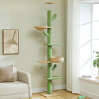 Arbre à chat plafond cactus