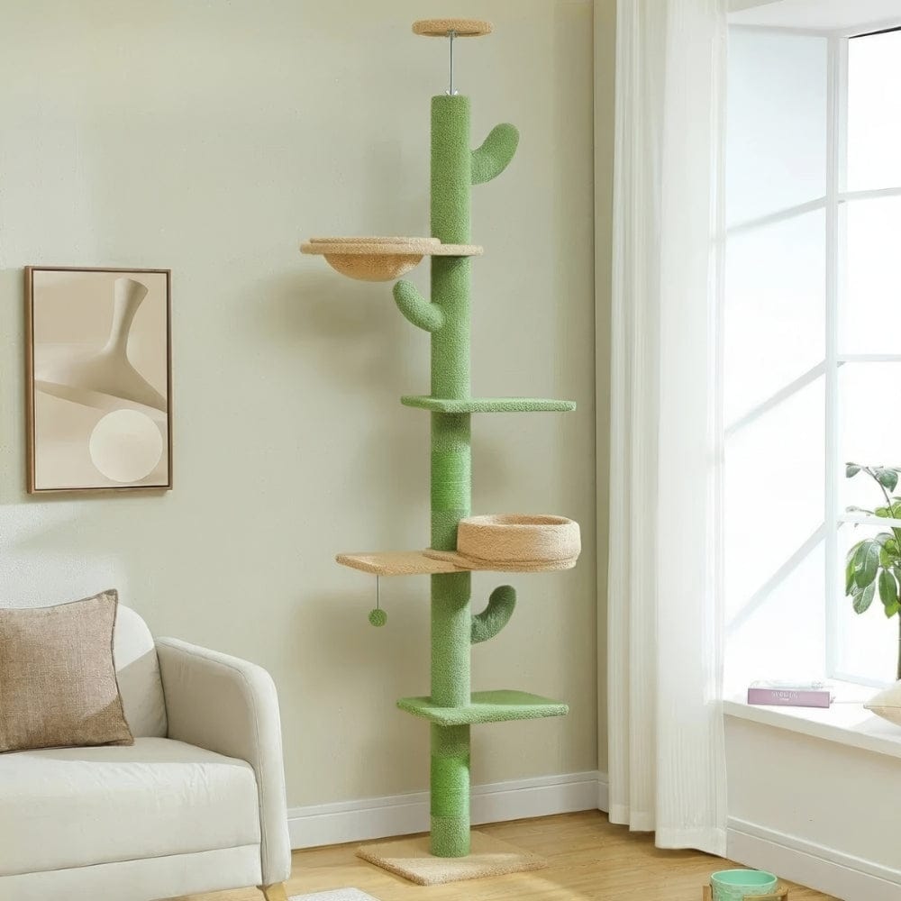 Arbre à chat plafond cactus