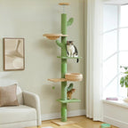 Arbre à chat plafond cactus
