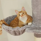 Arbre à chat plafond gris