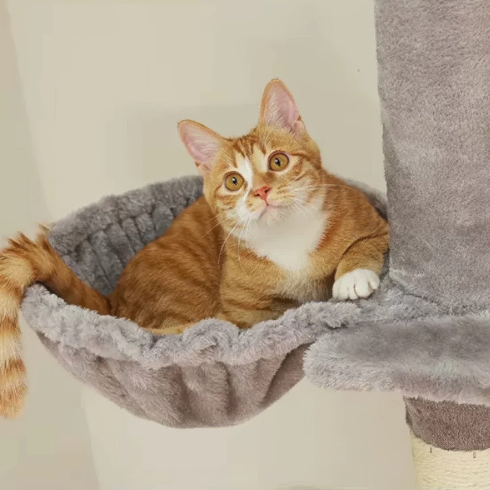 Arbre à chat plafond gris