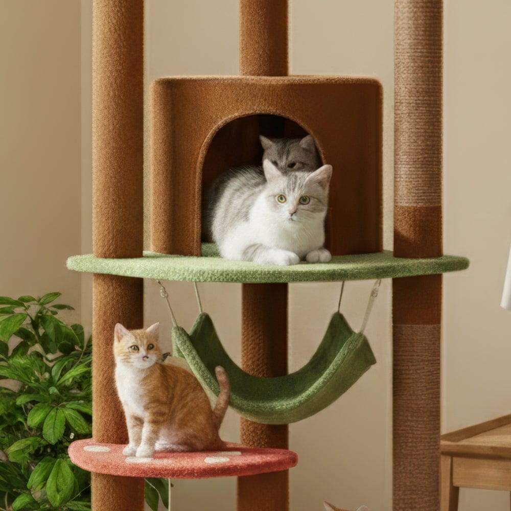 Arbre à chat plafond marron