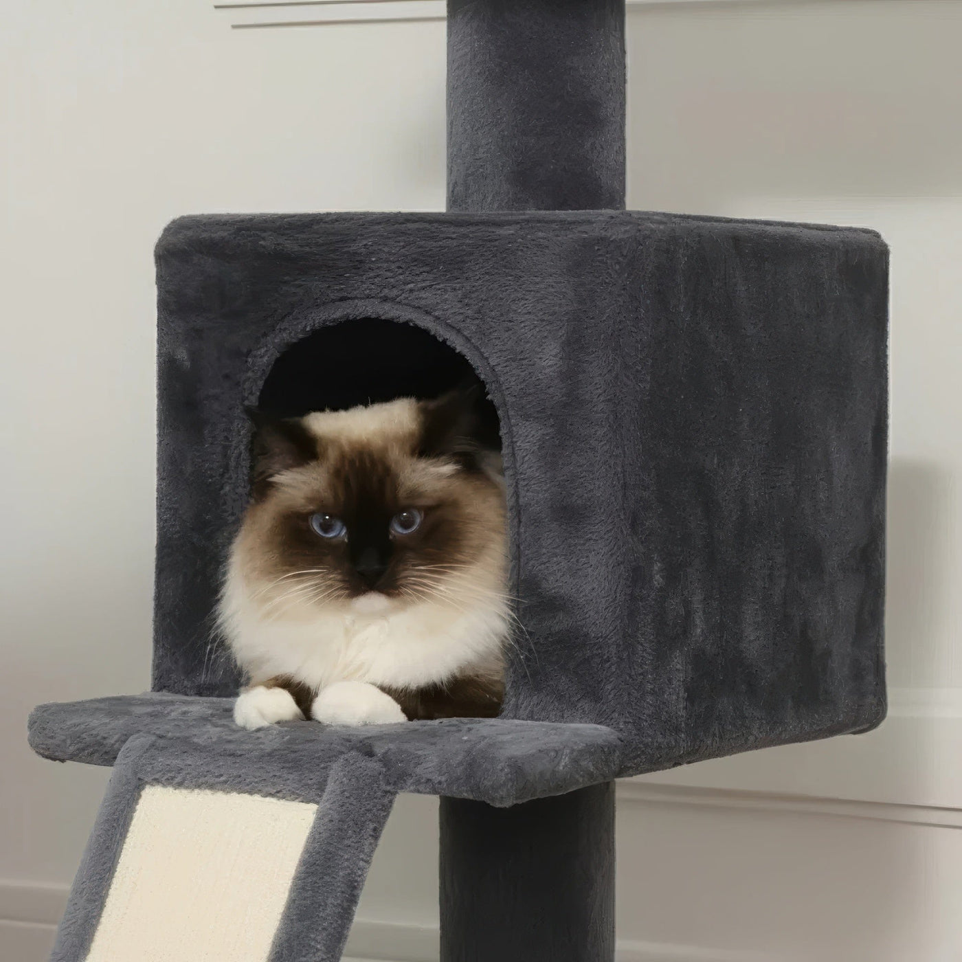 Arbre à chat plafond noir