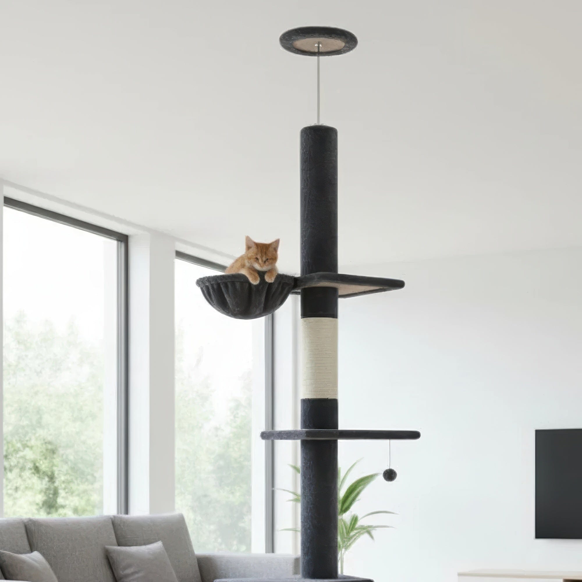 Arbre à chat plafond noir