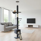 Arbre à chat plafond noir