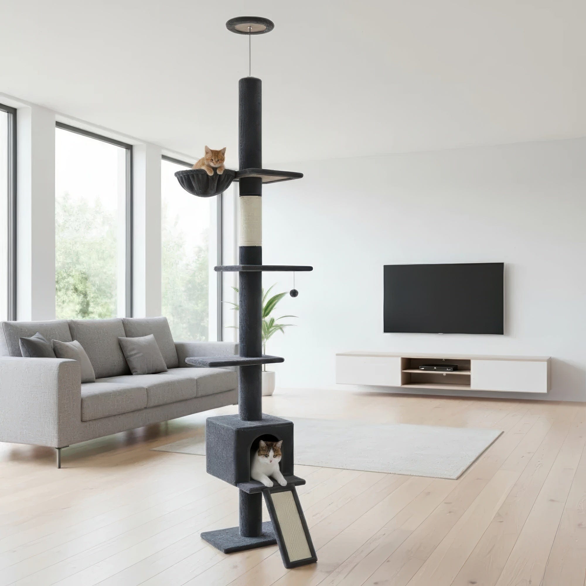 Arbre à chat plafond noir