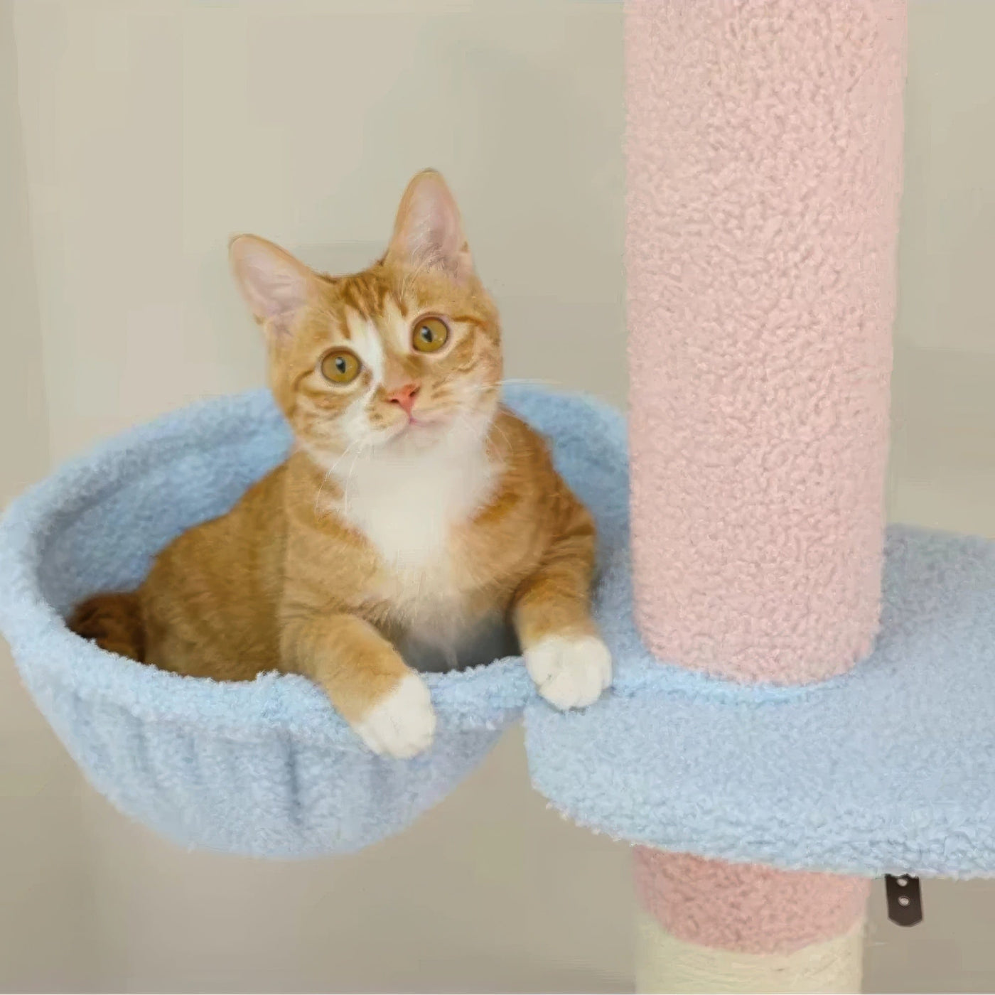 Arbre à chat plafond rose