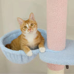 Arbre à chat plafond rose