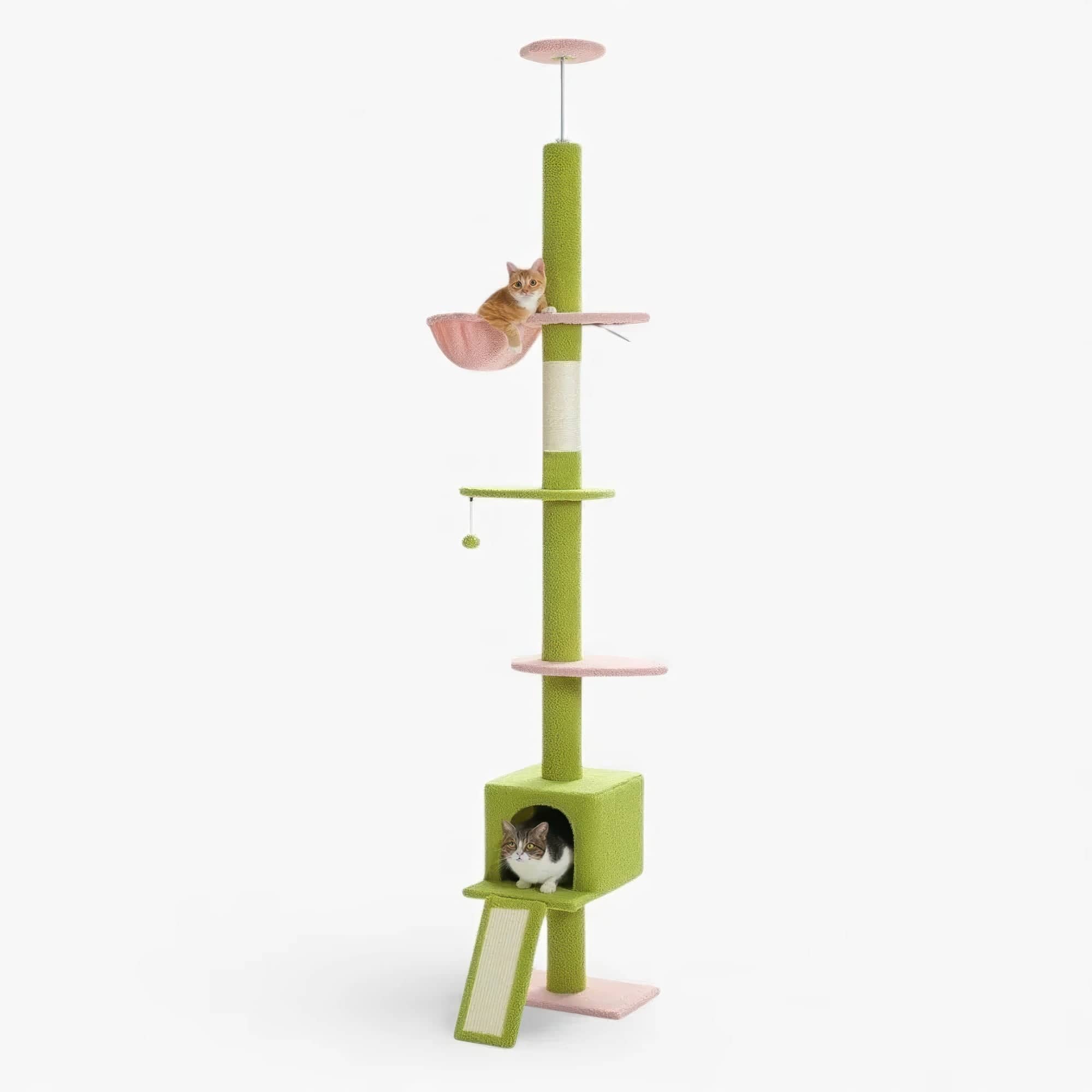 Arbre à chat plafond verdâtre