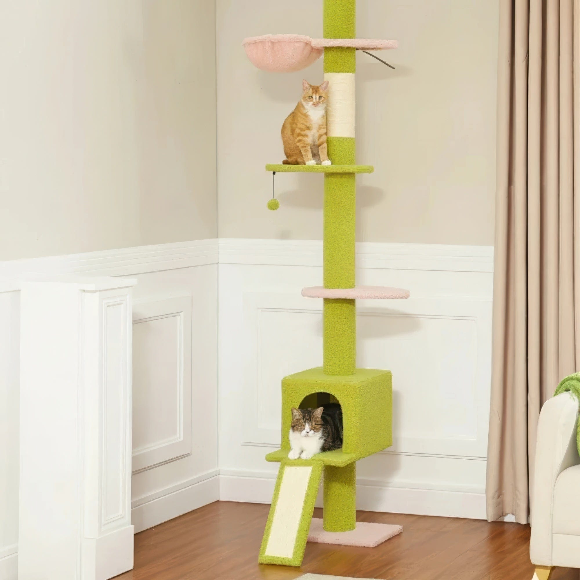 Arbre à chat plafond verdâtre