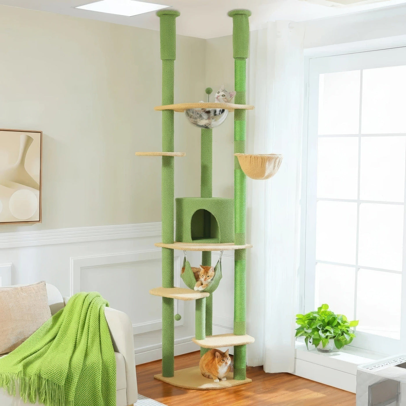 Arbre à chat plafond vert