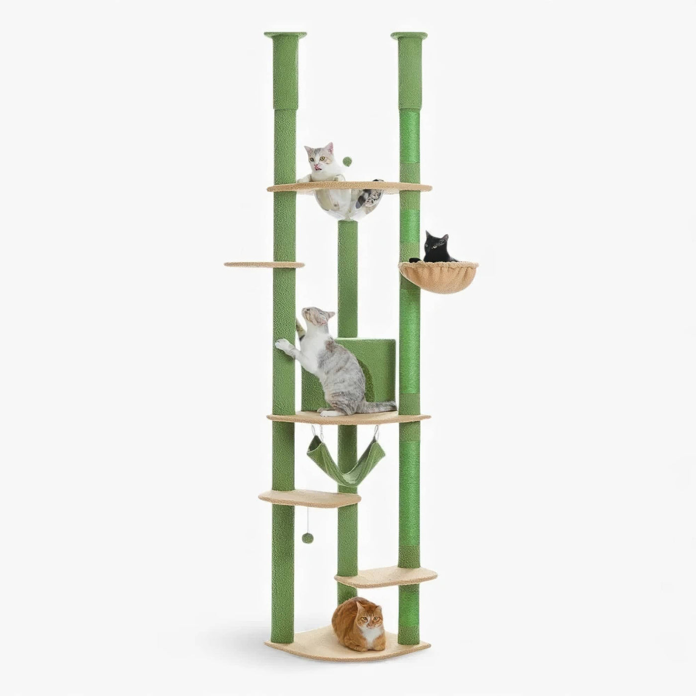 Arbre à chat plafond vert