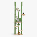 Arbre à chat plafond vert