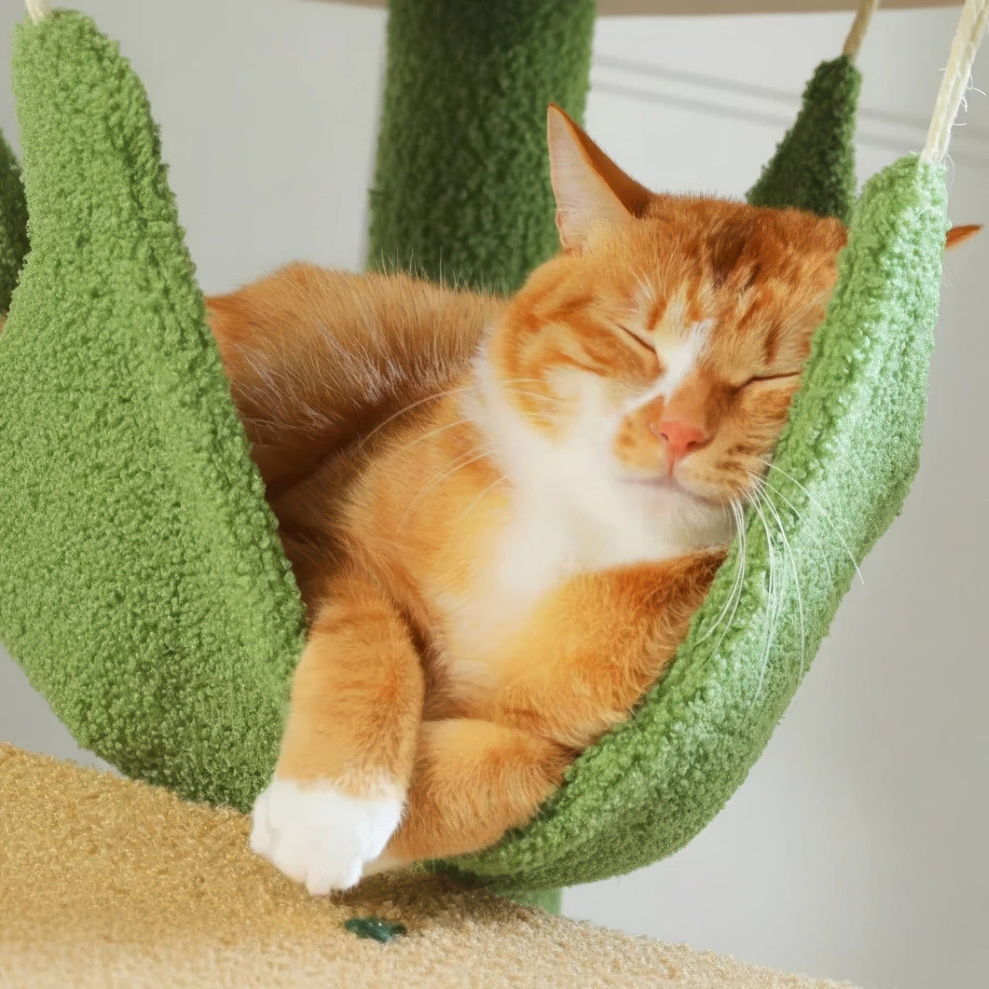 Arbre à chat plafond vert