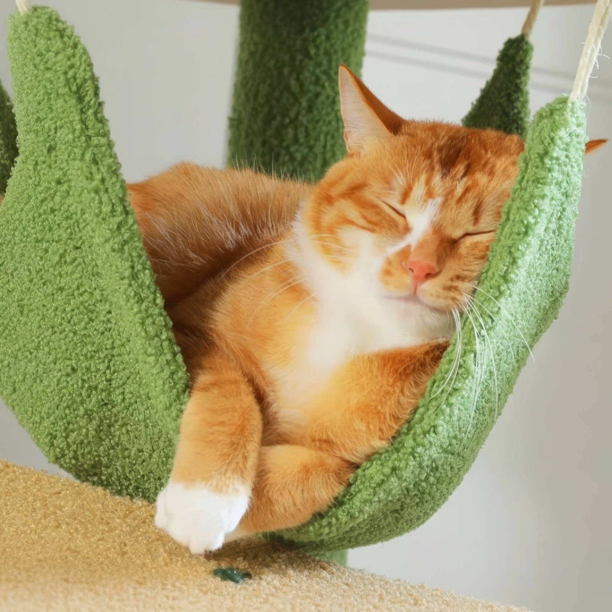 Arbre à chat plafond vert