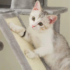 Arbre à chat - Plateforme