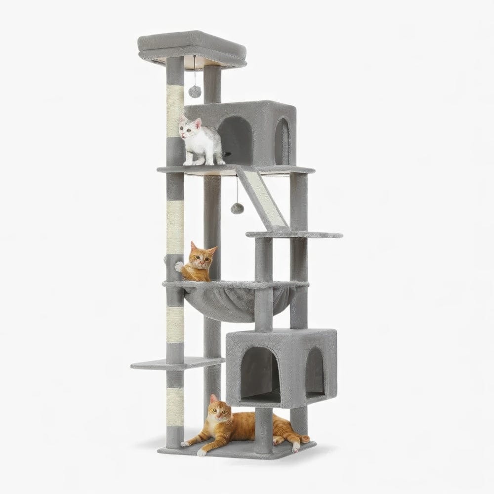 Arbre à chat - Plateforme