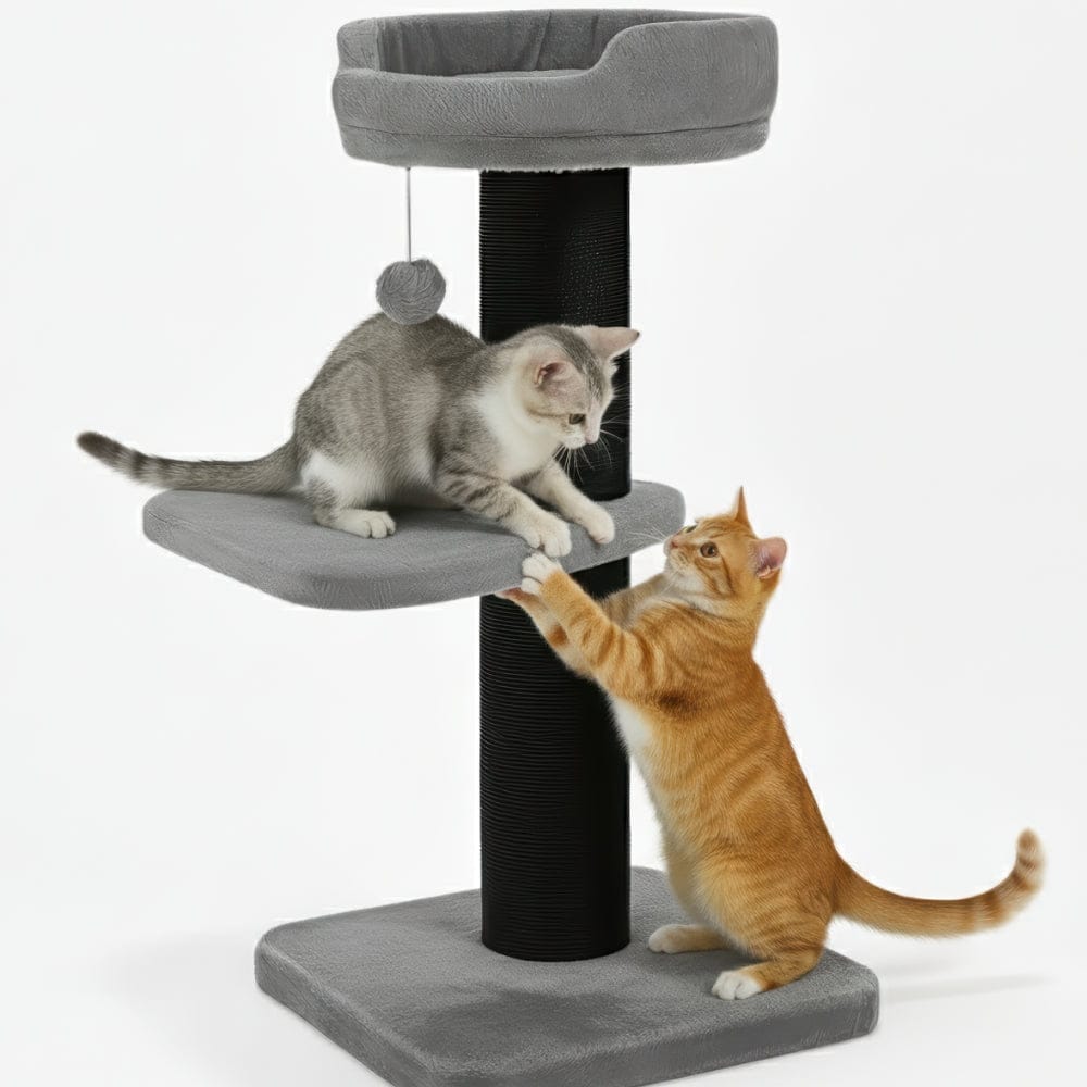 Arbre à chat - Poteau