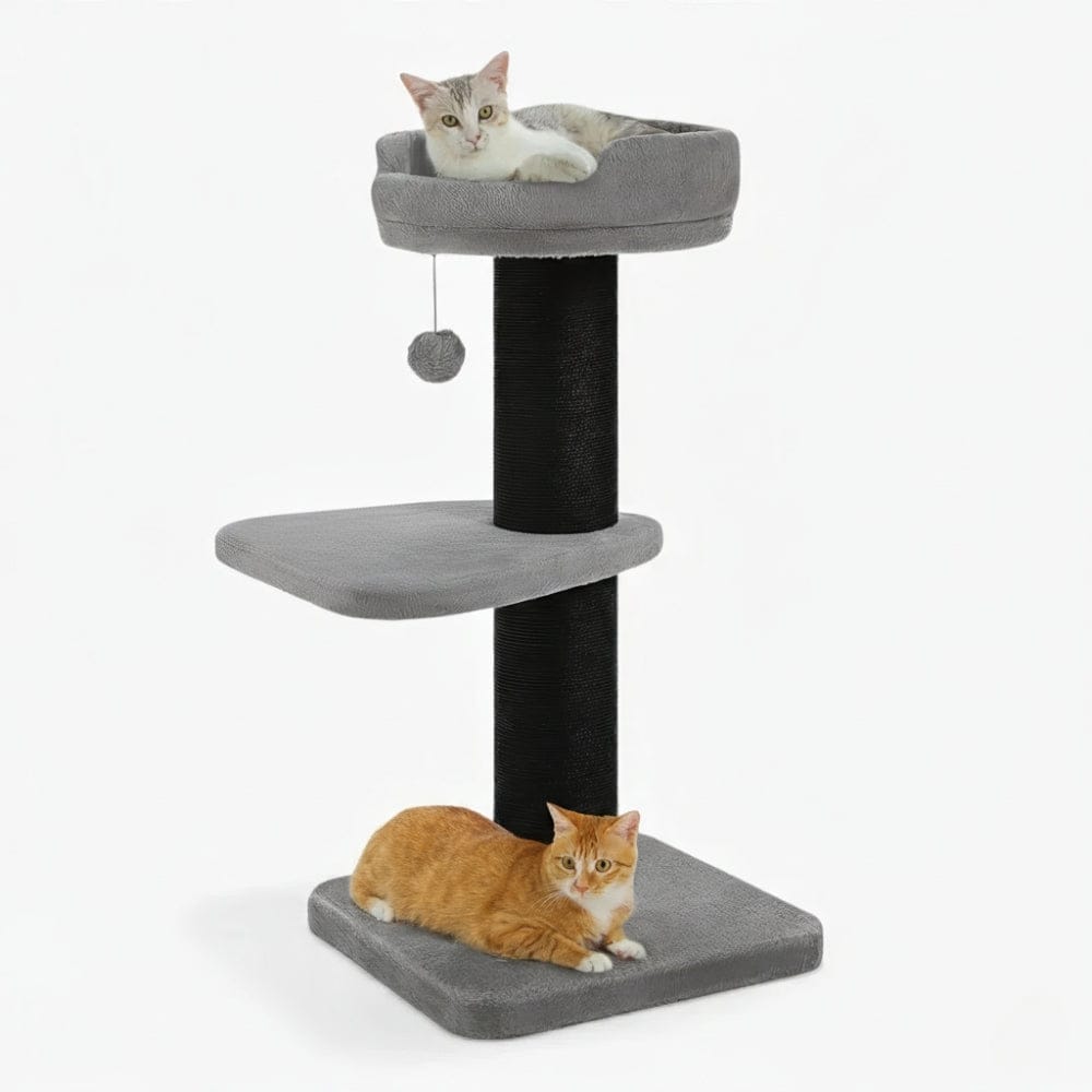 Arbre à chat - Poteau