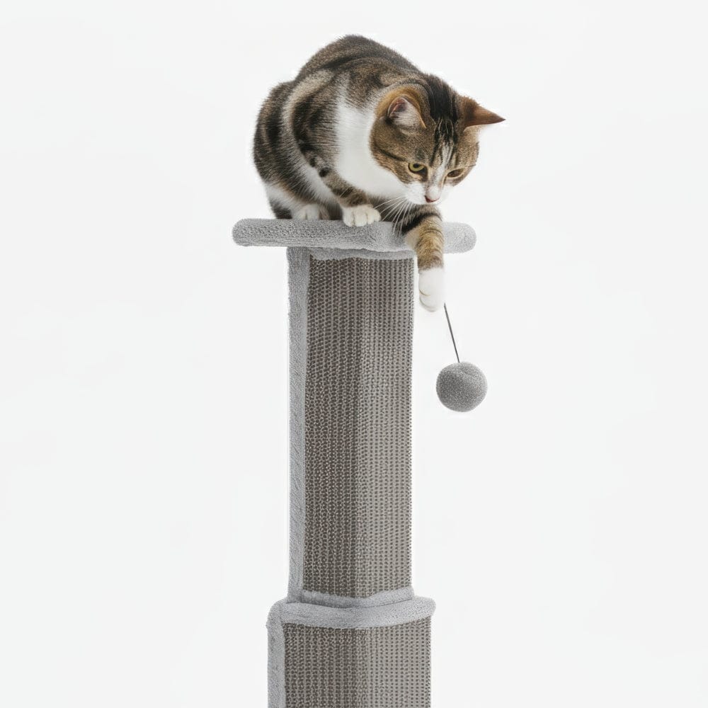 Arbre à chat - Poteau gris