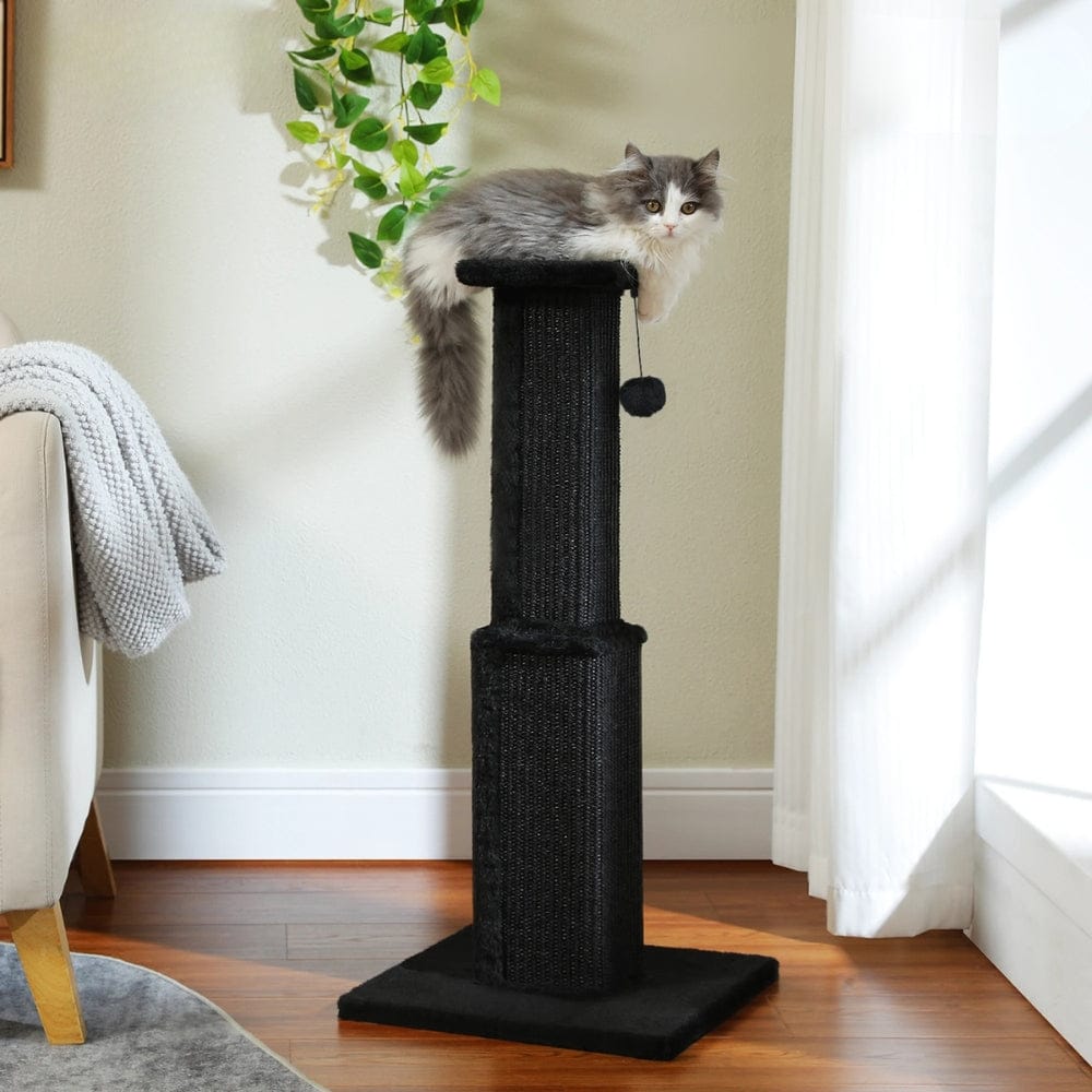 Arbre à chat - Poteau noir