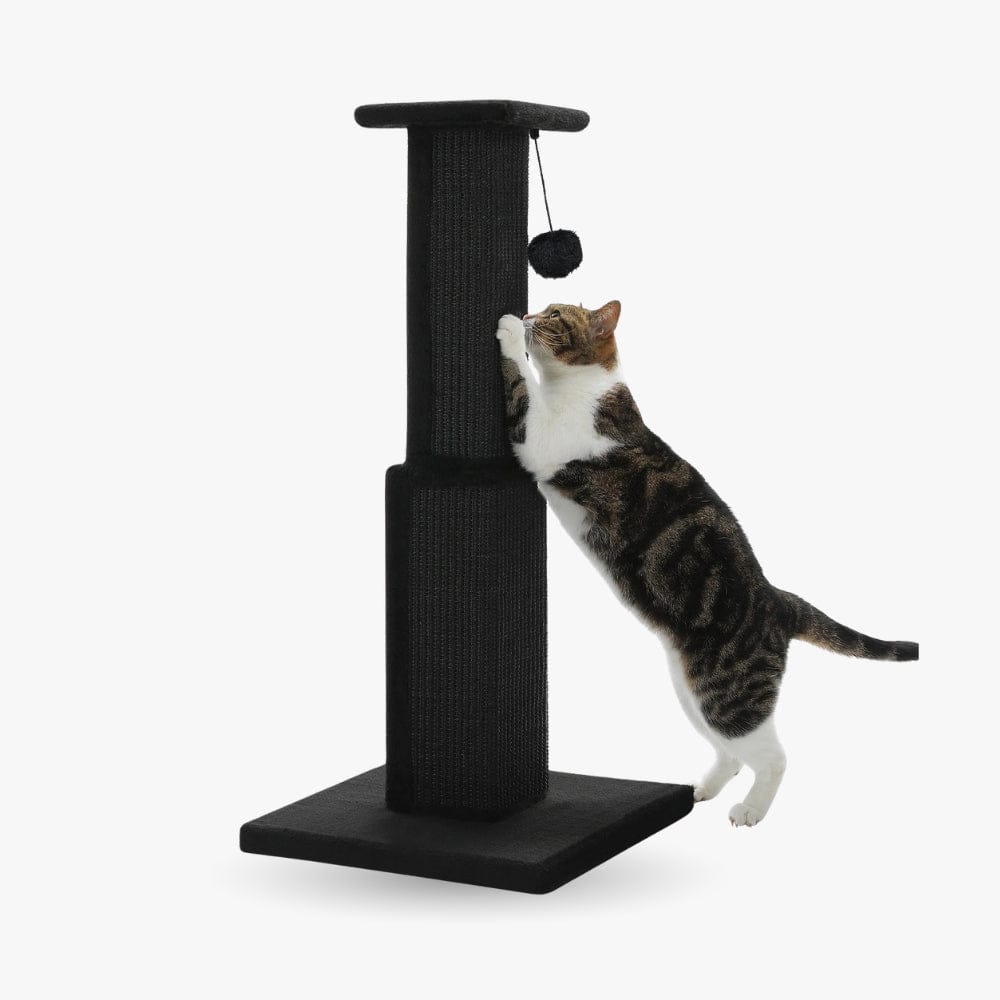 Arbre à chat - Poteau noir