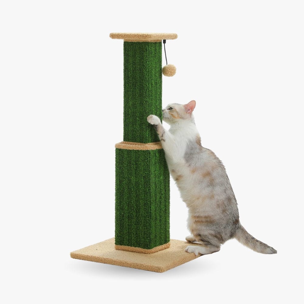 Arbre à chat - Poteau vert