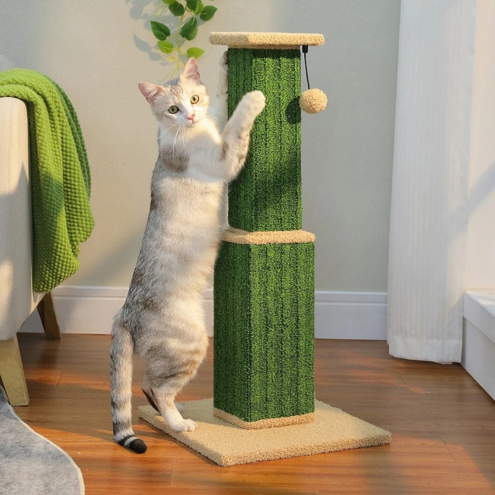 Arbre à chat - Poteau vert