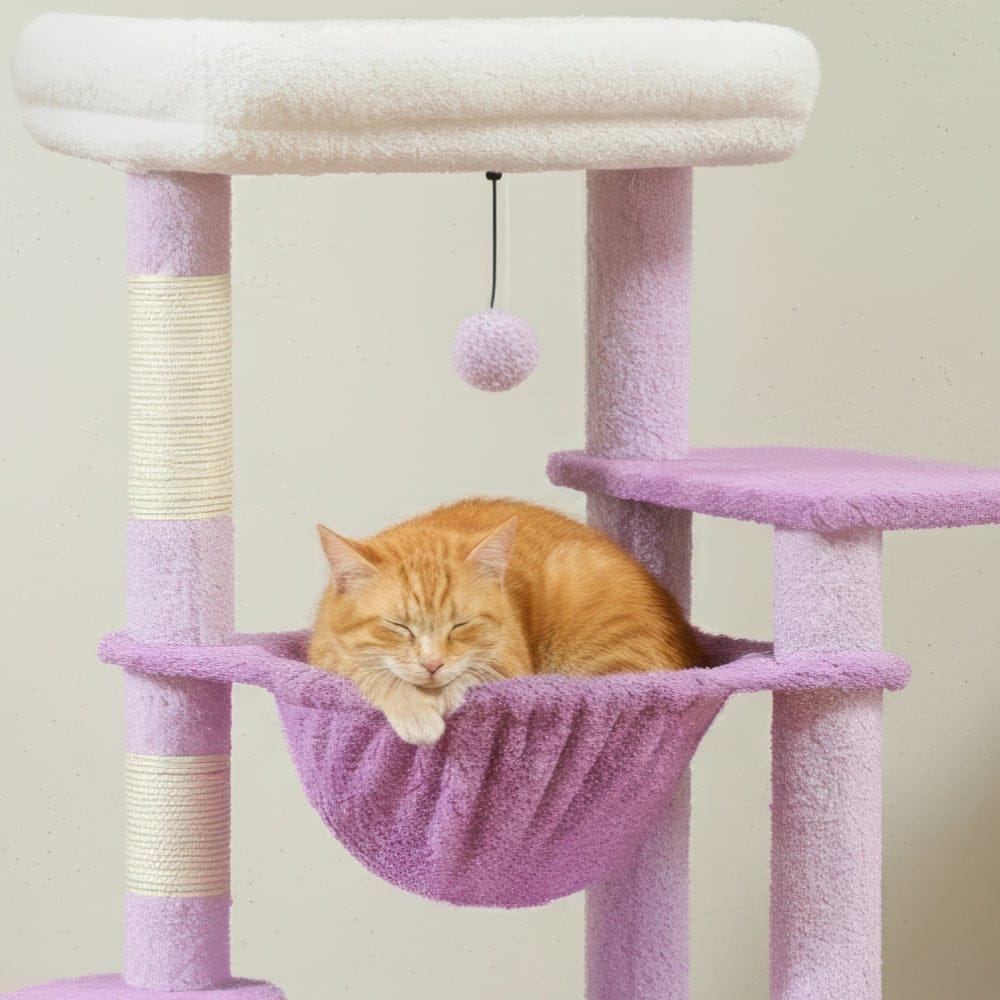 Arbre à chat - Pourpre