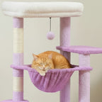 Arbre à chat - Pourpre