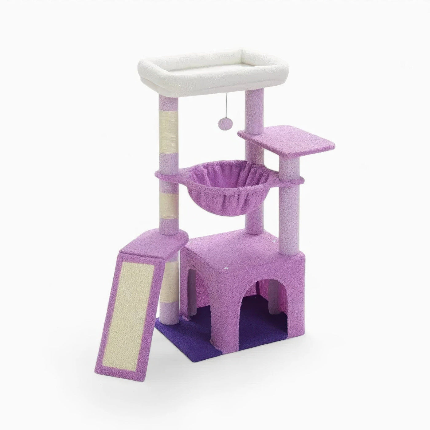 Arbre à chat - Pourpre