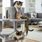 Arbre à chat - Pratique