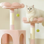 Arbre à chat - Reposant