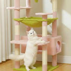 Arbre à chat - Reposant