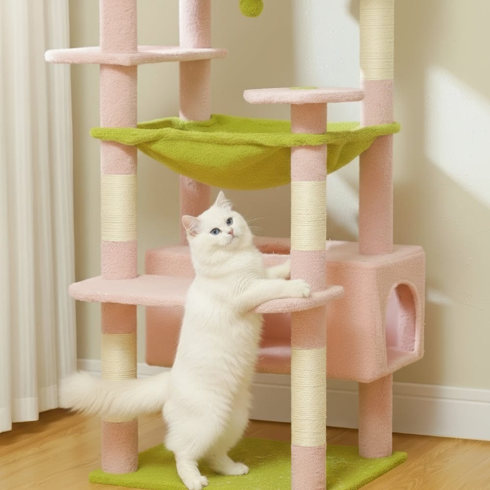 Arbre à chat - Reposant