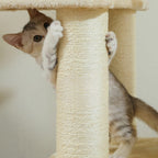 Arbre à chat - Robuste