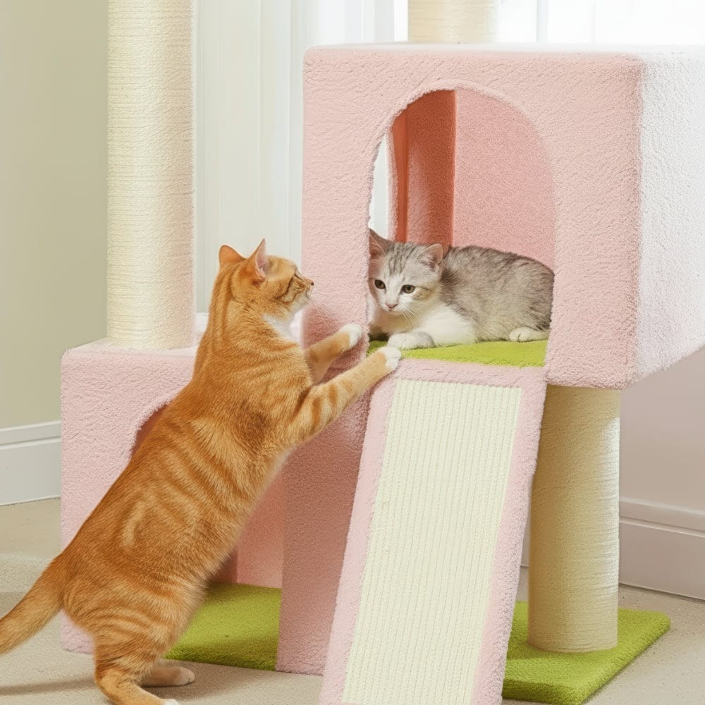 Arbre à chat - Rosâtre