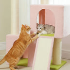 Arbre à chat - Rosâtre