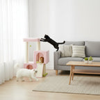 Arbre à chat - Rosâtre