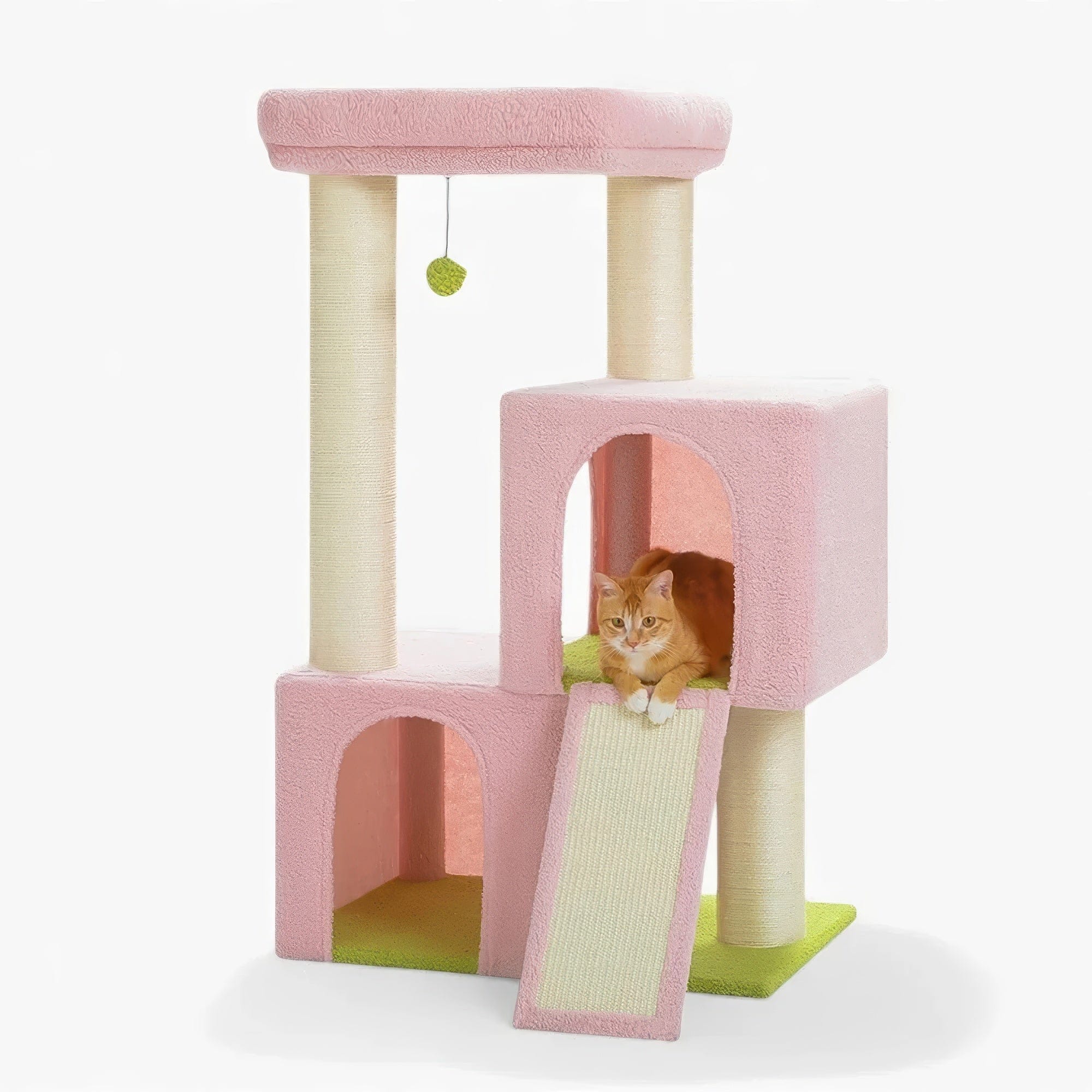 Arbre à chat - Rosâtre