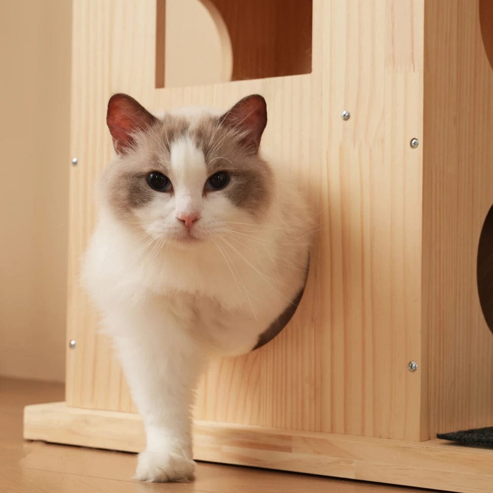 Arbre à chat - Roue