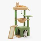 Arbre à chat - Sauge