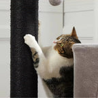 Arbre à chat - Séjour