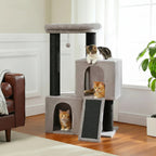 Arbre à chat - Séjour